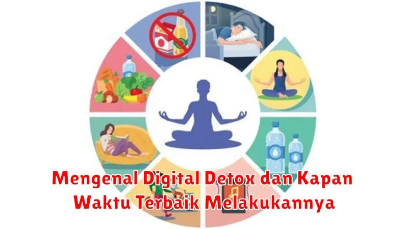 Mengenal Digital Detox dan Kapan Waktu Terbaik Melakukannya