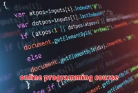 online programming course