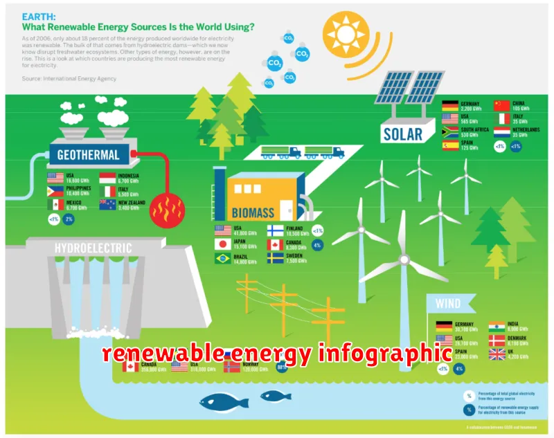 renewable energy infographic