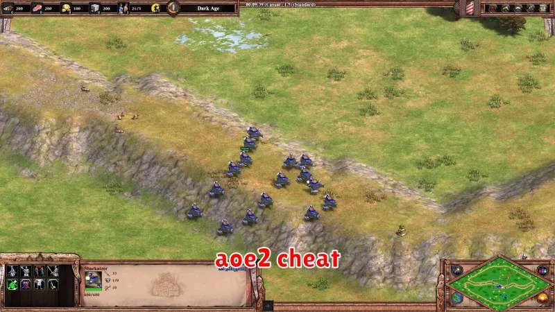 aoe2 cheat