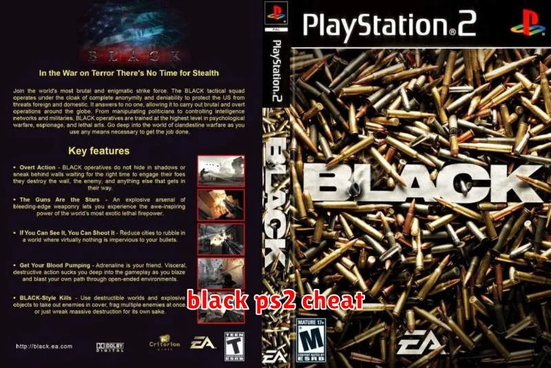 black ps2 cheat