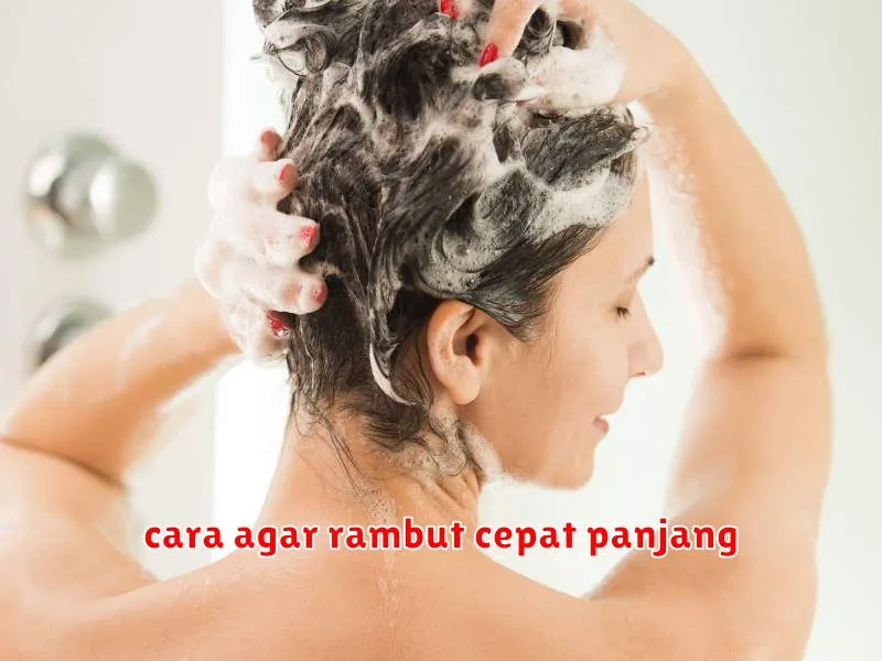 cara agar rambut cepat panjang