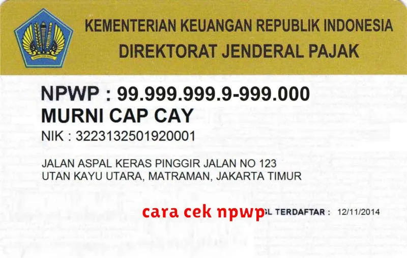 cara cek npwp