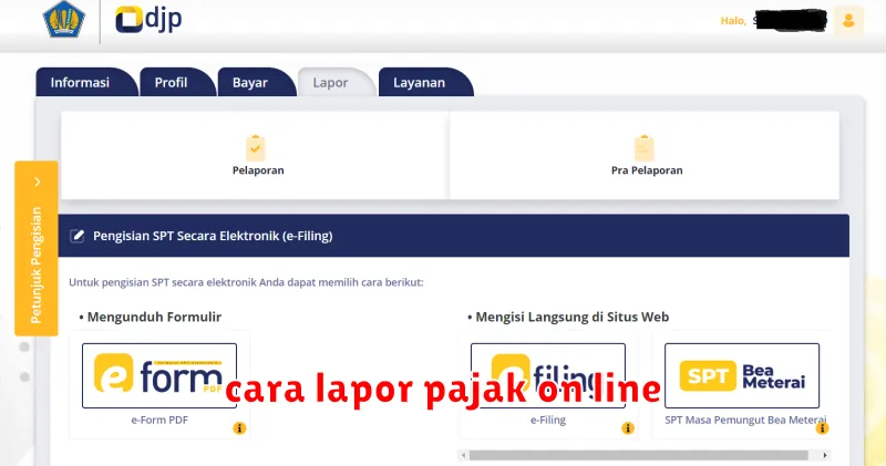 cara lapor pajak on line