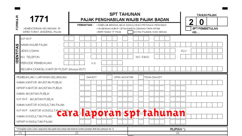 cara laporan spt tahunan