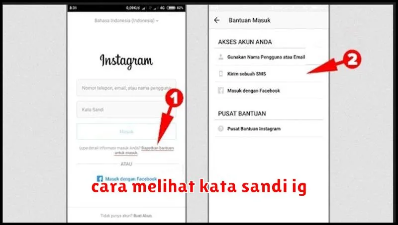 cara melihat kata sandi ig