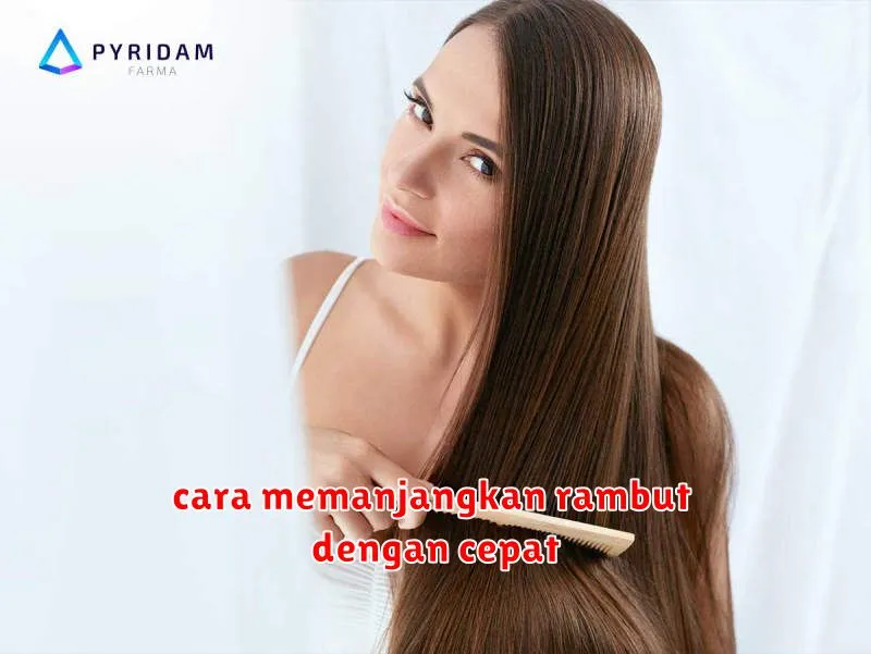 cara memanjangkan rambut dengan cepat