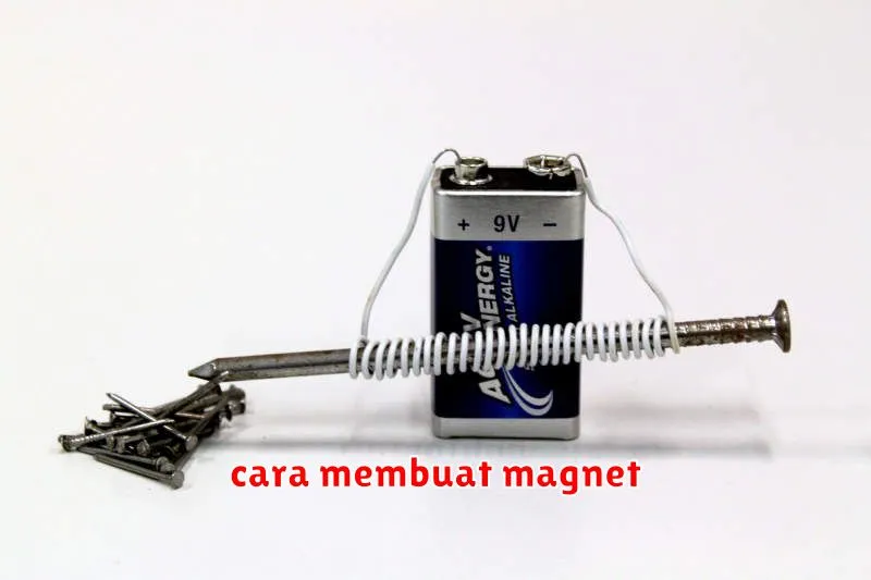 cara membuat magnet