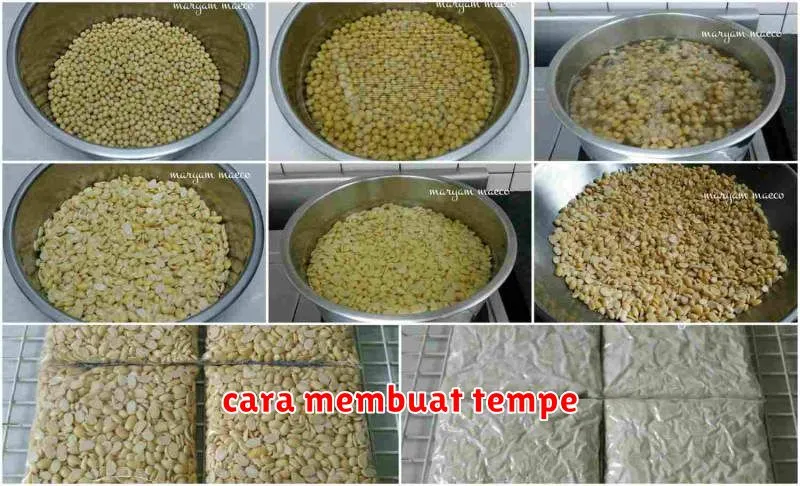 cara membuat tempe