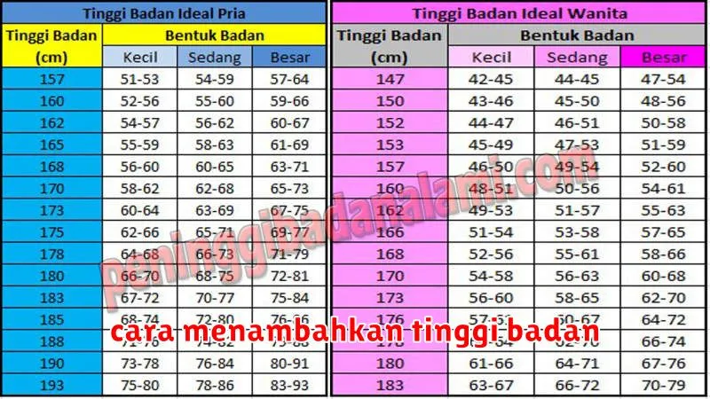 cara menambahkan tinggi badan