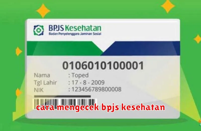 cara mengecek bpjs kesehatan