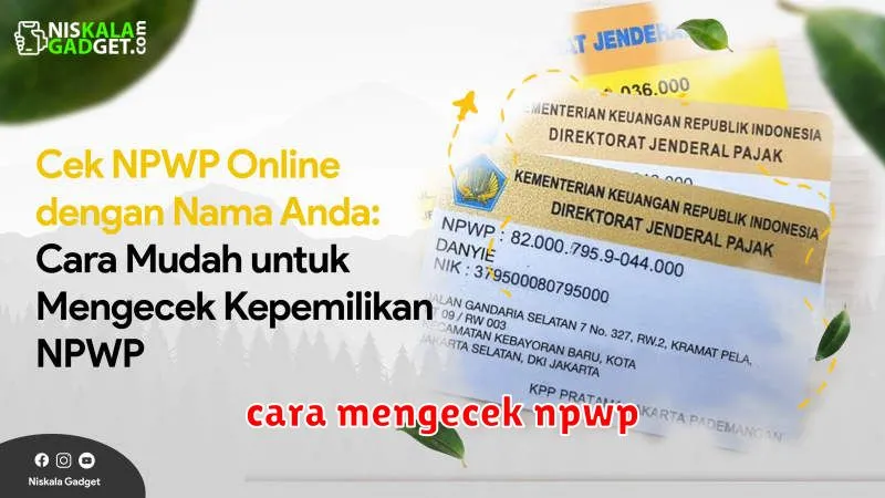 cara mengecek npwp