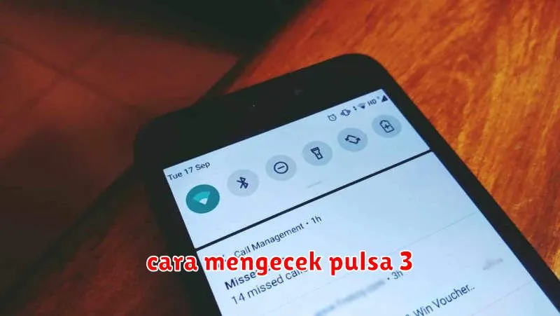 cara mengecek pulsa 3