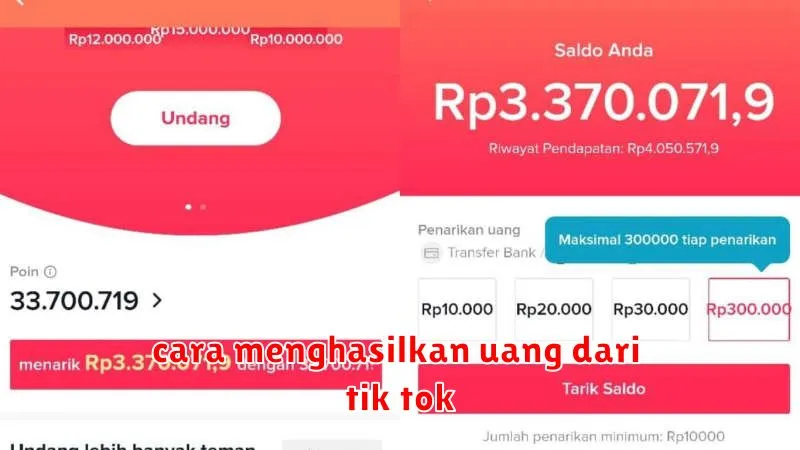 cara menghasilkan uang dari tik tok