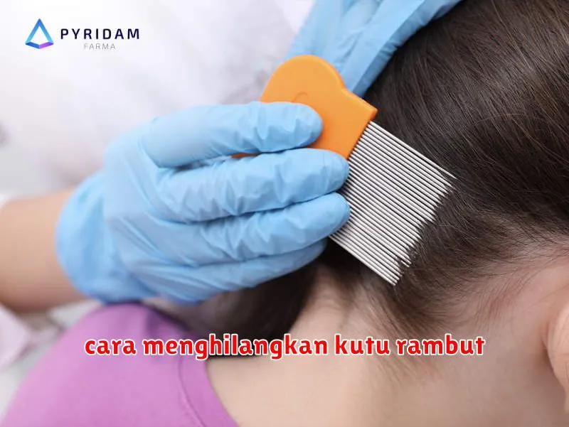 cara menghilangkan kutu rambut