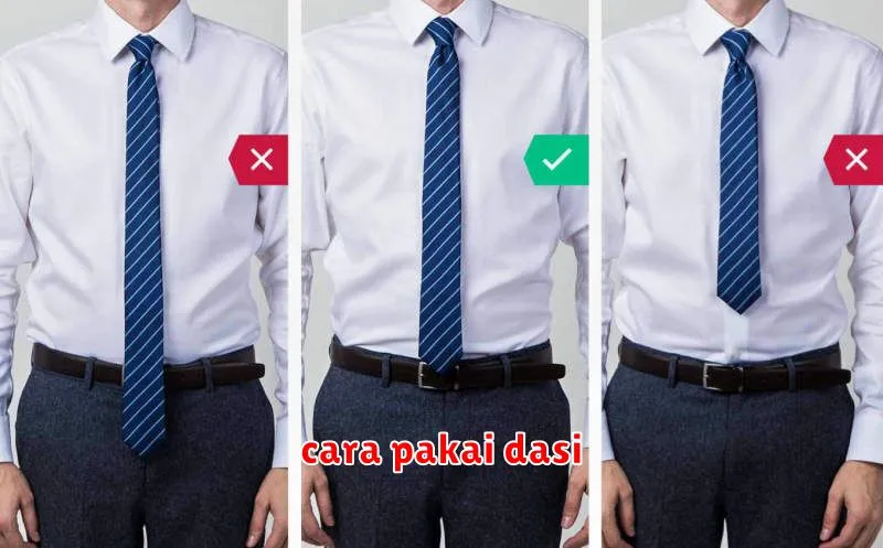 cara pakai dasi