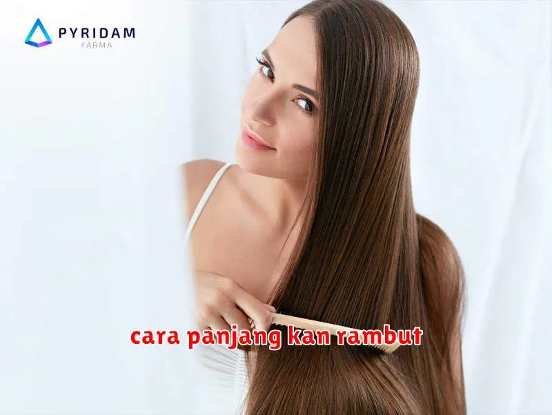 cara panjang kan rambut