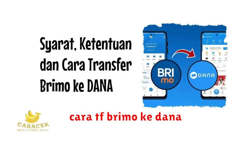 cara tf brimo ke dana