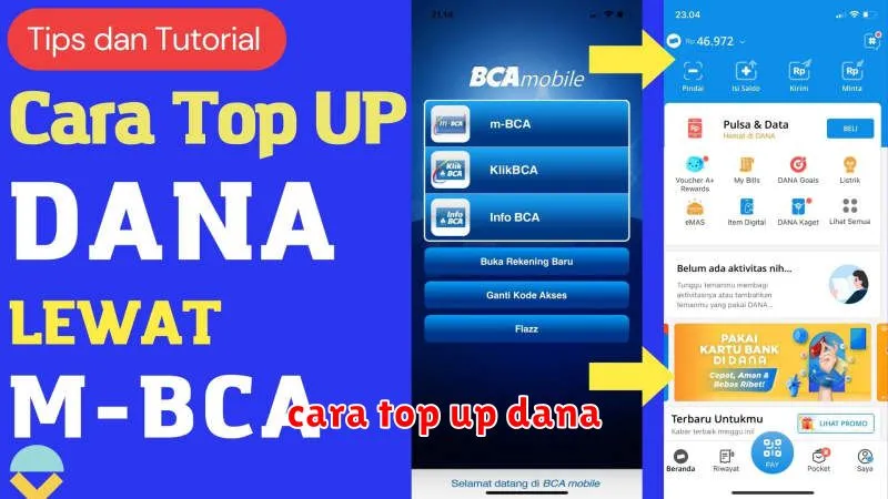 cara top up dana