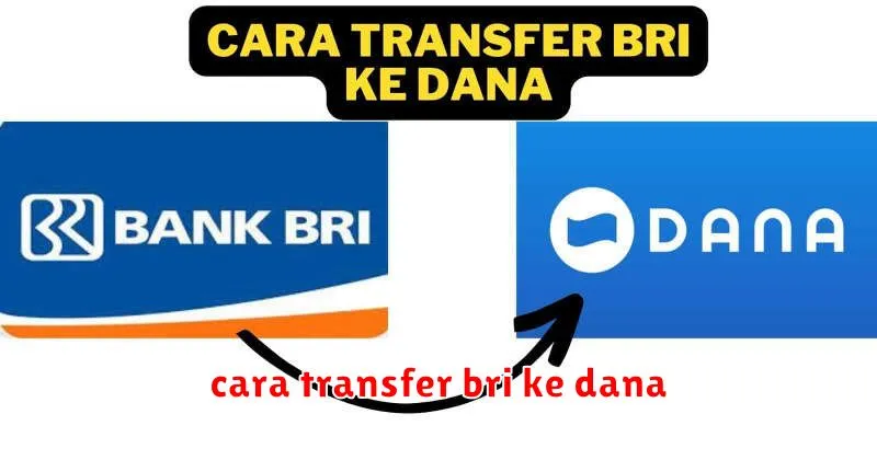 cara transfer bri ke dana