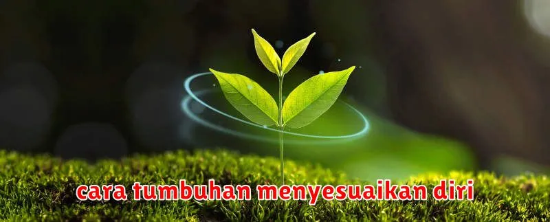 cara tumbuhan menyesuaikan diri