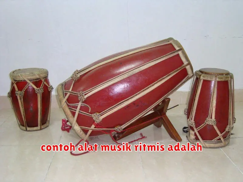 contoh alat musik ritmis adalah