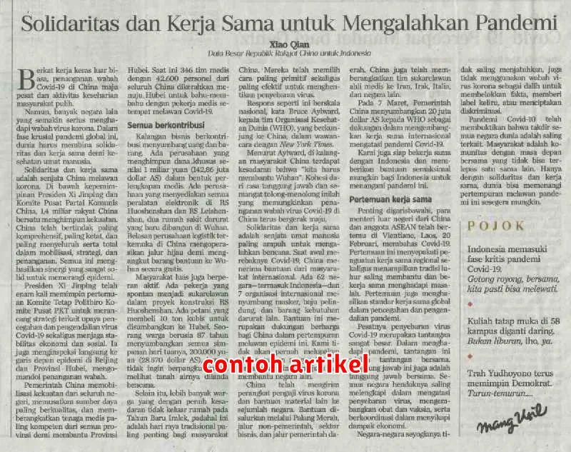 contoh artikel