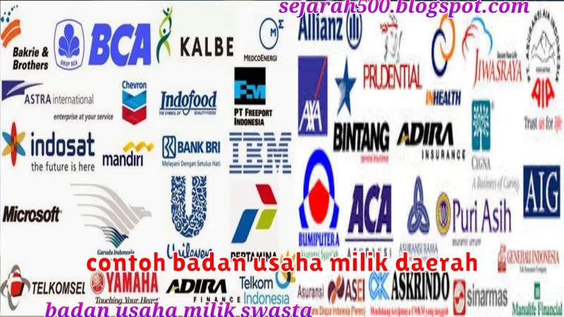 contoh badan usaha milik daerah