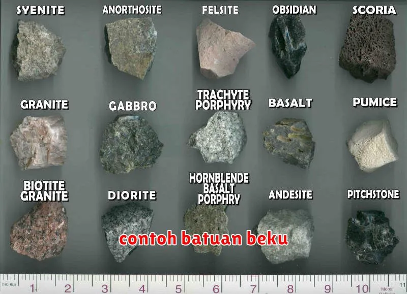 contoh batuan beku