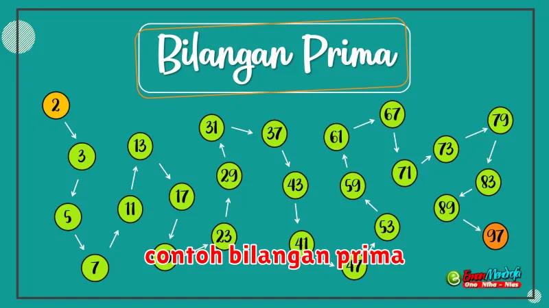 contoh bilangan prima