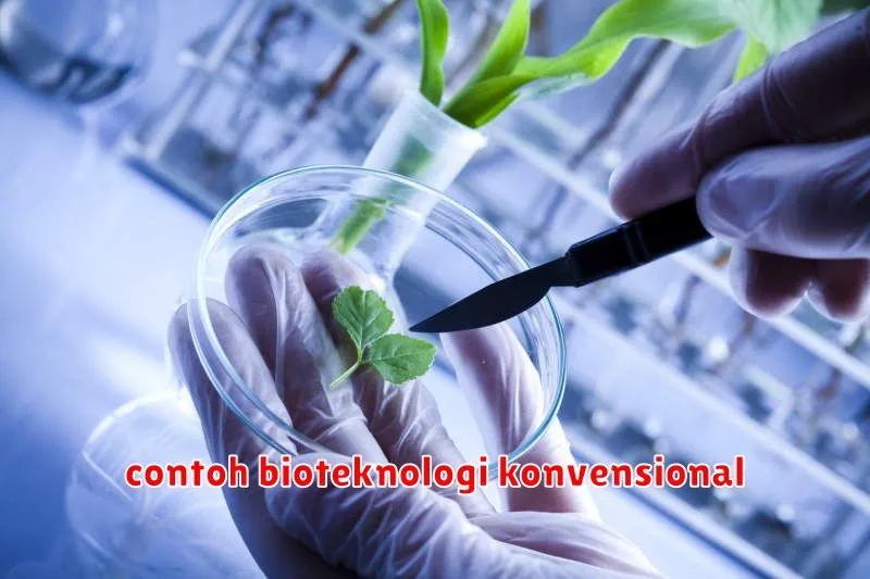 contoh bioteknologi konvensional