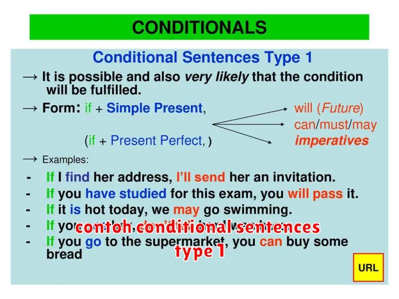 contoh conditional sentences type 1