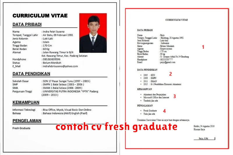 contoh cv fresh graduate