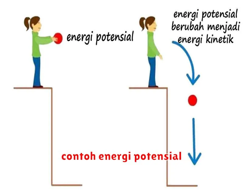 contoh energi potensial