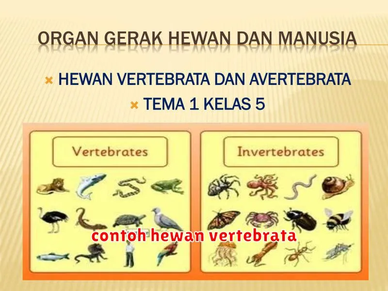 contoh hewan vertebrata