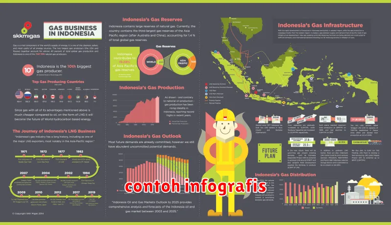 contoh infografis