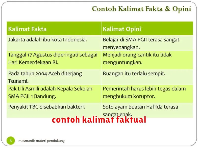 contoh kalimat faktual