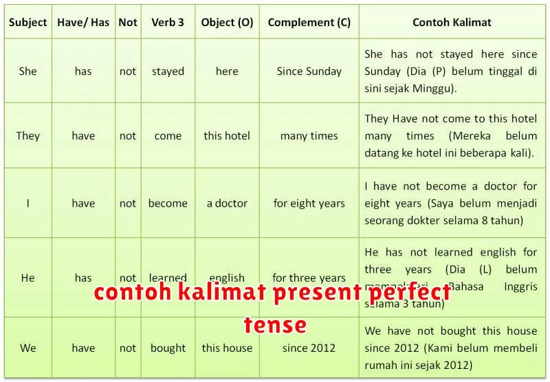 contoh kalimat present perfect tense