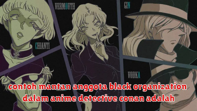 contoh mantan anggota black organization dalam anime detective conan adalah