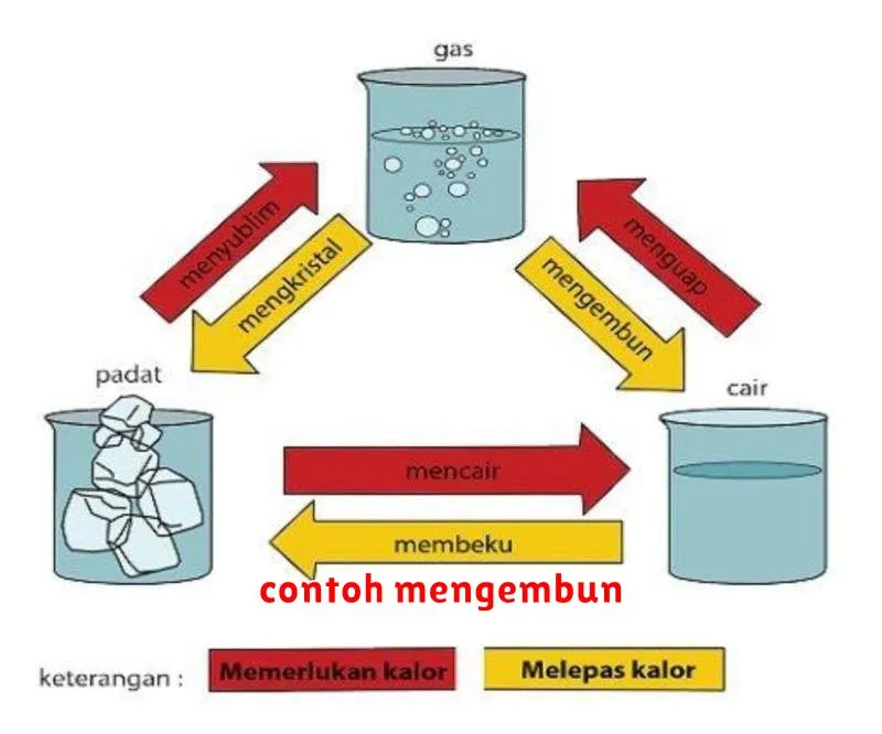 contoh mengembun