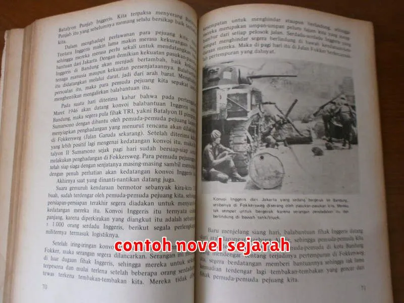 contoh novel sejarah