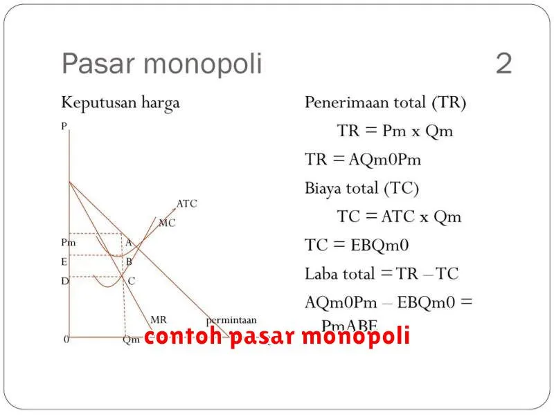 contoh pasar monopoli