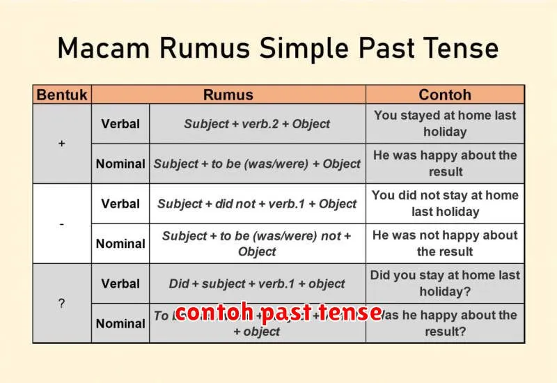 contoh past tense