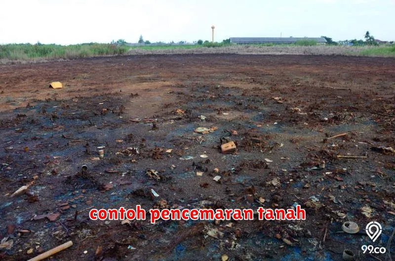 contoh pencemaran tanah