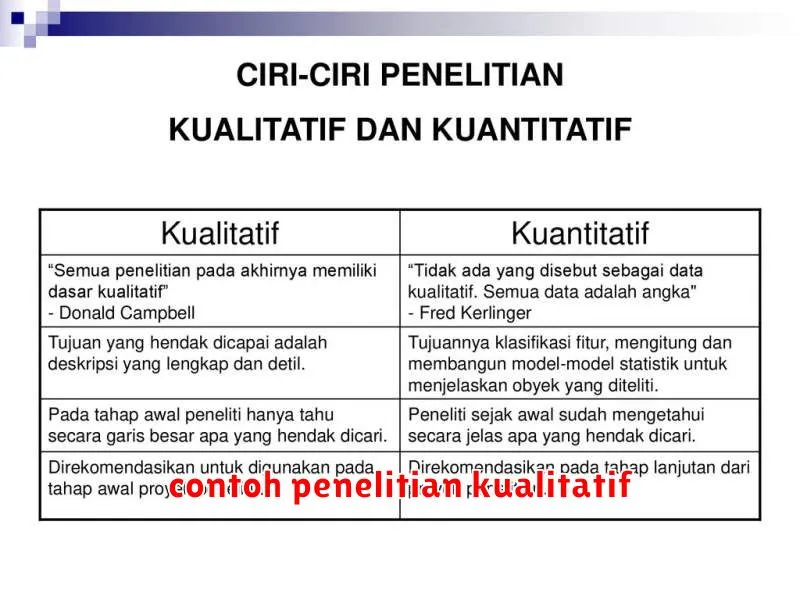 contoh penelitian kualitatif