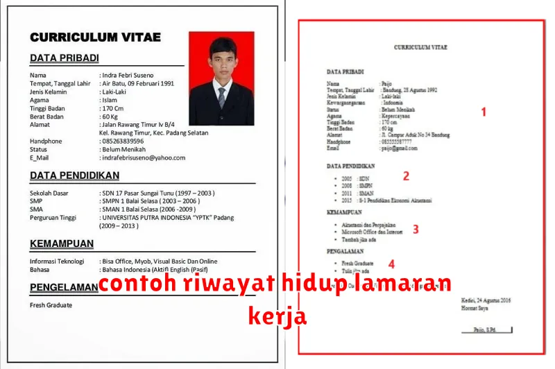 contoh riwayat hidup lamaran kerja