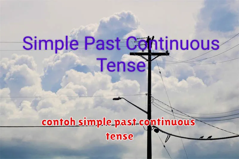 contoh simple past continuous tense