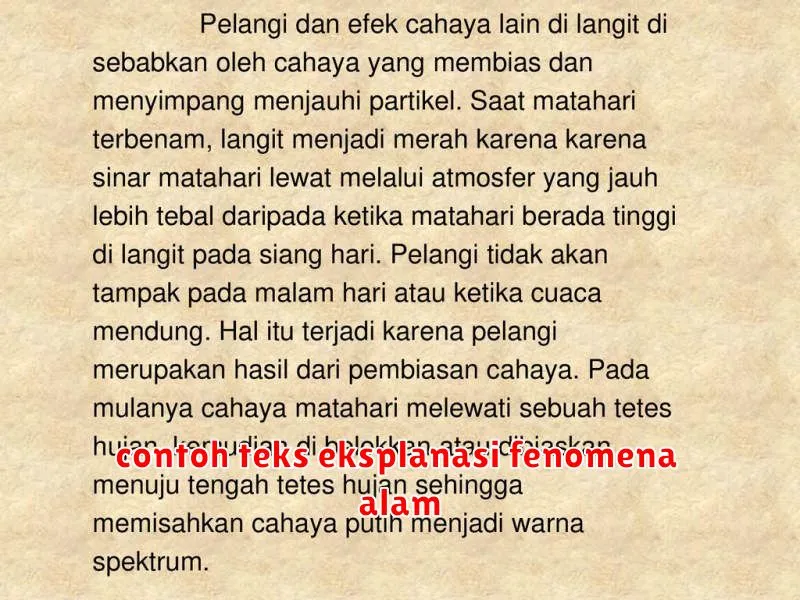 contoh teks eksplanasi fenomena alam