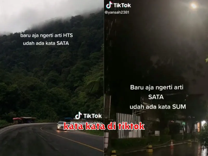 kata kata di tiktok