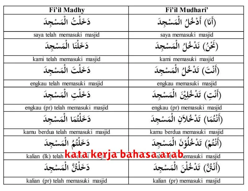 kata kerja bahasa arab